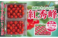 ≪先行予約≫ 贈答用 2024年 山形県産 さくらんぼ 紅秀峰 特秀 2L バラ詰 1.4kg(700g×2箱) F2Y-5639