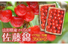 《先行予約》贈答用 2024年 山形県産 さくらんぼ 佐藤錦 バラ詰・竹箱入 350g×2 F2Y-5646
