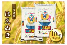 【先行予約 2024年10月発送】山形県産 はえぬき 10kg(5kg×2) F2Y-3920