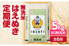 無洗米はえぬき5kg(BG無洗米) 定期便6回 山形 定期便 こめ 米 お米 精米 白米 ごはん ご飯 コメ おにぎり 送料無料 プレゼント ギフト ふるさと納税 F2Y-5746