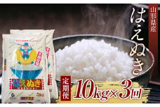 【先行予約 2024年10月発送】山形県産はえぬき10kg（5kg×2) 定期便 全3回 F2Y-3922