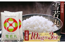 【先行予約 2024年10月発送】山形県産雪若丸10kg（5kg×2） 全3回 F2Y-3923