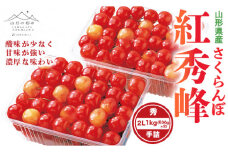 《先行予約》贈答用 2024年 山形県産 さくらんぼ 紅秀峰 秀 2L 手詰 1kg(500g×2) F2Y-5667