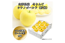 山形県産 貯蔵りんご シナノゴールド 約2kg FSY-1222