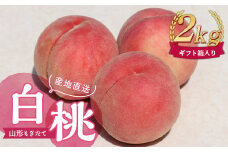 【先行受付 令和7年度発送】山形もぎたて白桃2kg ギフト箱入り  もも モモ 桃 デザート フルーツ 果物 くだもの 果実 食品 山形県 FSY-1036