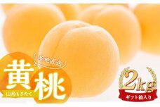 【先行受付 令和7年度発送】山形もぎたて黄桃2kg ギフト箱入り  もも モモ 桃 デザート フルーツ 果物 くだもの 果実 食品 山形県 FSY-1037