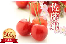 ≪2024年 先行予約≫ 真の桜桃 佐藤錦 2L・L混合バラ詰め 500g FSY-1238