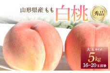 《先行予約 2025年度発送》 山形県産 白桃 秀品 5kg  もも モモ 桃 デザート フルーツ 果物 くだもの 果実 食品 山形県 FSY-1241