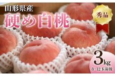 《2025年産 先行予約》山形県産 硬め白桃 秀品 3kg（8～12玉前後）  もも モモ 桃 デザート フルーツ 果物 くだもの 果実 食品 山形県 FSY-1242