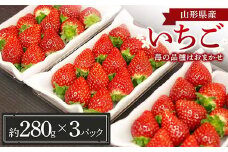 山形県産 いちご (苺の品種はおまかせ) 約280g×3パック【1月中旬から順次発送】 FSY-1227