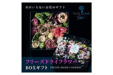 フリーズドライフラワー BOXギフト「日本HANA」 F2Y-3785