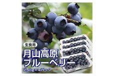【先行予約 2026年度発送】山形県月山高原産 大澤農園のブルーベリー 250g×4パック 計1kg 生食用 爽やかな甘酸っぱさが魅力です  フルーツ 果物 くだもの 果実 食品 山形県 FSY-1223