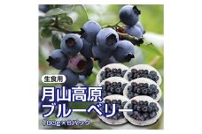 【先行予約 2026年度発送】山形県月山高原産 大澤農園のブルーベリー 100g×6パック 計600g 生食用 爽やかな甘酸っぱさが魅力です  フルーツ 果物 くだもの 果実 食品 山形県 FSY-1224