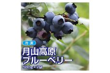 山形県月山高原産 大澤農園のブルーベリー 冷凍 500g×2パック 計1kg 冷凍だから使い勝手抜群 FSY-1225