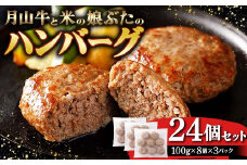 月山牛と米の娘ぶたのハンバーグ24個セット F2Y-3779