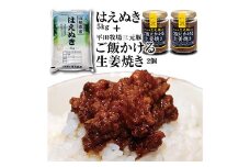 令和5年産庄内米「はえぬき5kg」とご飯のお供「平田牧場三元豚 ご飯にかける生姜焼き2個」セット F2Y-3775