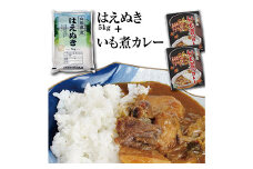 令和5年産庄内米「はえぬき5kg」と山形名物いも煮仕立ての「いも煮カレー2箱」セット F2Y-3776