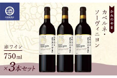 3本セット かみのやま カベルネ・ソーヴィニヨン 赤ワイン サントリー 750ml F2Y-3820