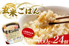 山形県産 玄米 マルちゃん 玄米ごはん 160g×24個 酸味料不使用 F2Y-3812