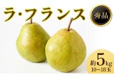 《2025年先行受付》ラ・フランス 秀品 10～18玉 約5kg  なし ナシ 梨 デザート フルーツ 果物 くだもの 果実 食品 山形県 FSY-1918