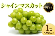 《2025年先行受付》ぶどう「シャインマスカット」 秀品 1房(700g以上) マスカット ぶどう ブドウ 葡萄 デザート フルーツ 果物 くだもの 果実 食品 山形県 FSY-2196