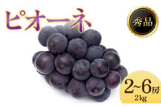《2025年先行受付》ぶどう「ピオーネ」 秀品 2～6房(2kg)  ぶどう ブドウ 葡萄 デザート フルーツ 果物 くだもの 果実 食品 山形県 FSY-1221