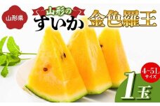 《先行予約 2025年度発送》山形県産すいか 1玉（4～5Lサイズ）  スイカ すいか 西瓜 デザート フルーツ 果物 くだもの 果実 食品 山形県 FSY-1274