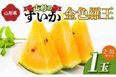 《先行予約 2025年度発送》山形県産すいか 1玉（2～3Lサイズ）  スイカ すいか 西瓜 デザート フルーツ 果物 くだもの 果実 食品 山形県 FSY-1273