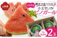 《先行予約 2024年度発送》山形県産 種まで食べられる小玉すいかピノガール 2玉（1玉2kg前後）  スイカ すいか 西瓜 デザート フルーツ 果物 くだもの 果実 食品 山形県 FSY-1272