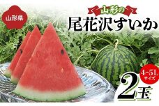 《先行予約 2024年度発送》山形の尾花沢すいか 2玉（4～5Lサイズ）  スイカ すいか 西瓜 デザート フルーツ 果物 くだもの 果実 食品 山形県 FSY-1270