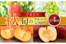 ≪2025年先行予約≫ 全4回やまがた 「秋」 旬のフルーツ定期便  もも モモ 桃 デザート フルーツ 果物 くだもの 果実 食品 山形県 FSY-1880