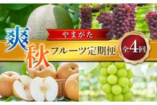 ≪2026年先行予約≫ 全4回 やまがた爽秋フルーツ定期便 FSY-2390