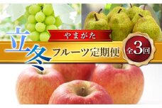≪2025年先行予約≫ 全3回やまがた 立冬フルーツ定期便  マスカット ぶどう ブドウ 葡萄 デザート フルーツ 果物 くだもの 果実 食品 山形県 FSY-1915