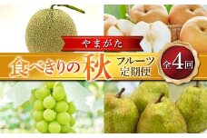≪2026年先行予約≫ 全4回 やまがた　食べきりの秋フルーツ定期便 FSY-2392