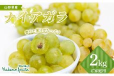 【仲野観光果樹園】 《2025年先行予約》 ご家庭用 山形県産 種あり ぶどう ナイアガラ 2kg（6～13房） 2025年9月上旬から順次発送 F2Y-5818