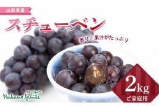 【仲野観光果樹園】 《2025年先行予約》 ご家庭用 山形県産ぶどう スチューベン 2kg（6～13房） 2025年9月上旬から順次発送  ぶどう ブドウ 葡萄 デザート フルーツ 果物 くだもの 果実 食品 山形県 F2Y-5819