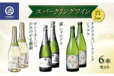 スパークリングワイン 3種類 6本セット サントネージュ 嘉シャルドネ シャララ 白 F2Y-3814