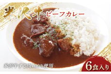 米沢牛 ビーフカレー 200g×6食入り 米沢牛すじ肉100％使用 F2Y-3838