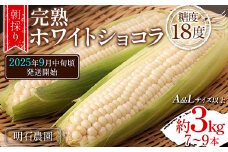 ＜朝採り＞ 完熟ホワイトショコラ 明石農園 糖度18度 約3kg とうもろこし 山形県産 A品 Lサイズ以上 《先行予約2025年度9月中旬頃発送開始》  とうきび トウキビ トウモロコシ コーン 野菜 食品 山形県 FSY-1293
