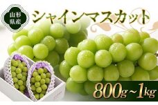 《先行予約 2025年度発送》シャインマスカット 800g～1kg  マスカット ぶどう ブドウ 葡萄 デザート フルーツ 果物 くだもの 果実 食品 山形県 FSY-1859