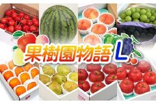 《先行予約 2026年度発送》果樹園物語L ≪果物 8回定期便≫ FSY-2309