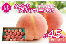 《先行予約 2025年度発送》食べ切りひとりじめ 白桃 4.5kg（18～22玉）  もも モモ 桃 デザート フルーツ 果物 くだもの 果実 食品 山形県 FSY-1287