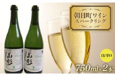 朝日町ワイン スパークリング 白辛口 750ml 2本 F2Y-4318