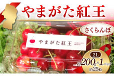 《先行予約 2024年度発送》やまがた紅王 さくらんぼ 2L 200g×1パック入 約25粒 FSY-1234