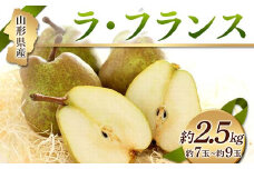 《先行予約 2024年度発送》山形県産ラ・フランス 約2.5kg 約7玉～約9玉  なし ナシ 梨 デザート フルーツ 果物 くだもの 果実 食品 山形県 FSY-1232