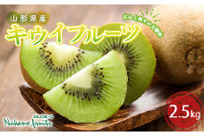 【仲野観光果樹園】≪2025年先行予約≫ ご家庭用 山形県産 キウイフルーツ 約2.5kg(20～42個) 2025年12月中旬から順次発送 フルーツ 果物 くだもの 果実 食品 山形県 F2Y-5820
