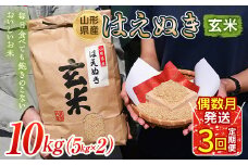 はえぬき 玄米 5kg×2 定期便3回（偶数月配送）  米 お米 コメ ごはん ご飯 食品 山形県 FSY-1310
