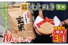 はえぬき 玄米 5kg×2 定期便3回（奇数月配送）  米 お米 コメ ごはん ご飯 食品 山形県 FSY-1311