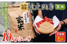 はえぬき 玄米 5kg×2 定期便6回  米 お米 コメ ごはん ご飯 食品 山形県 FSY-1312
