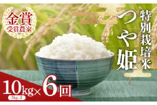 【定期便6回】 特別栽培米つや姫5kg×2袋 F2Y-4023